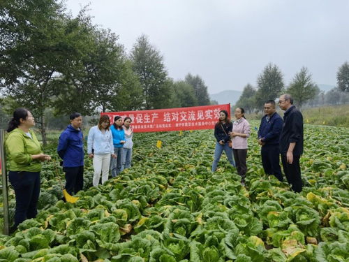 以試驗(yàn)促進(jìn)高效生產(chǎn)，以科技助力生態(tài)農(nóng)業(yè)——省農(nóng)業(yè)技術(shù)推廣總站的實(shí)踐與探索